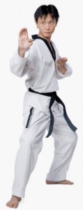 Adult Advanced Taekwondo classes